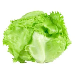 Iceberg lettuce