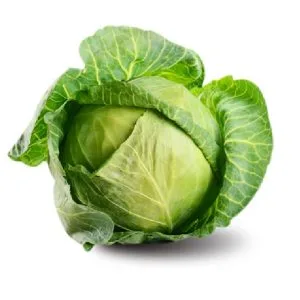 Cabbage