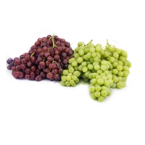 uva (Superiore - Fiamma - Globo rosso - Cremisi)